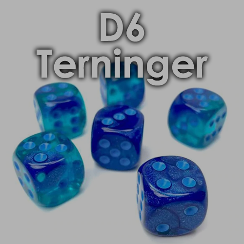 D6 Terninger