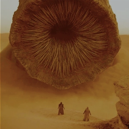 Dune