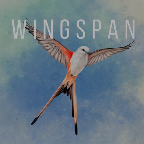 Wingspan brætspil