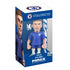 Minix Chelsea FC - Cole Palmer (12 cm) #223
